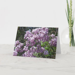Lilacs Birthday Card