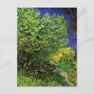 Lilacs by Vincent van Gogh, Vintage Garden Flowers Postcard