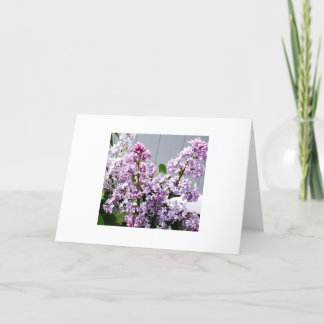Lilacs Card