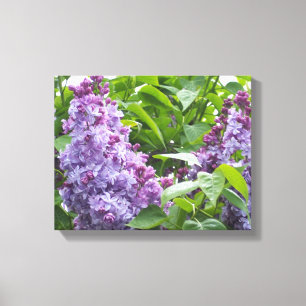 Lilacs d'art en toile