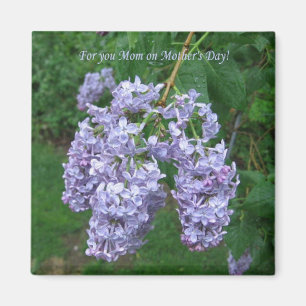 Lilacs for Mother's Day Magnet