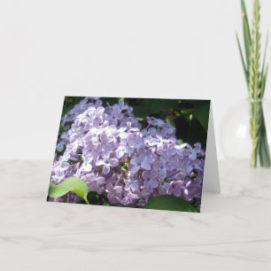 Lilacs in Full Bloom Card