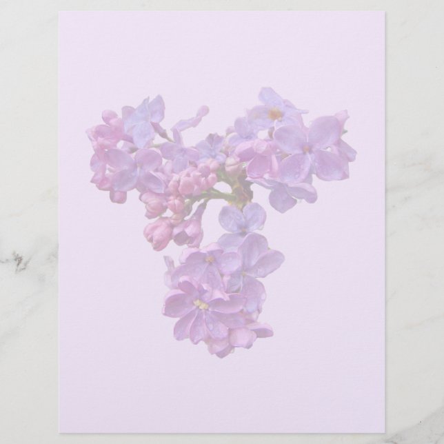 Lilacs in Springtime (Front)