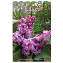 Lilacs—TOUS LES LILACS ! !  calendrier photo
