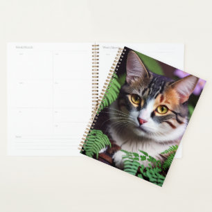 Lilah The Tabby Cat In The Fernery, Planner