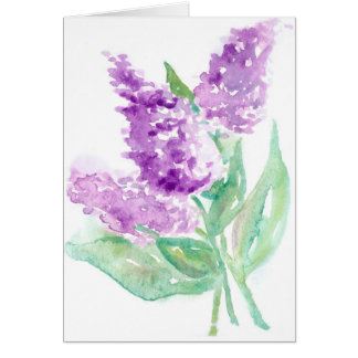 Lilas