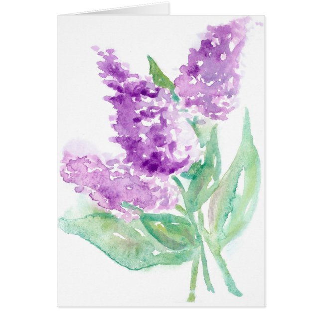 Lilas (Devant)