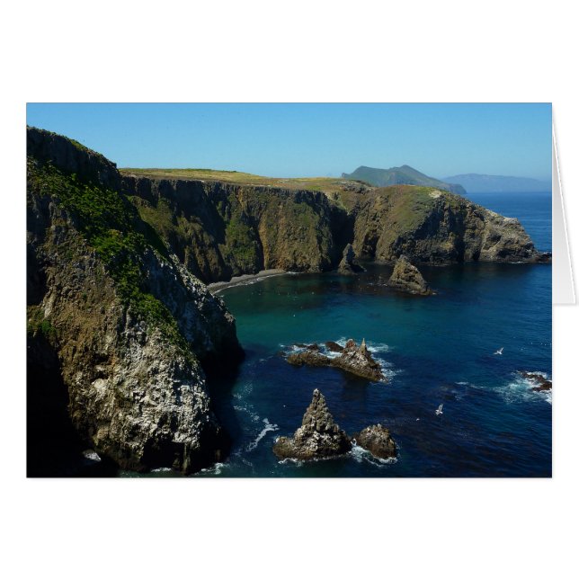 L'île d'Anacapa dans le Parc national des îles Cha (Devant horizontal)