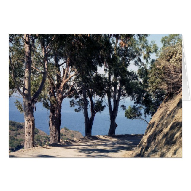 L'île de Catalina (Devant horizontal)