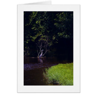 L'île de Percival, Lynchburg Virginie