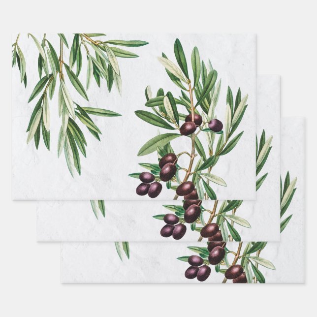 L'île méditerranéenne grecque Feuille d'olive (Lot)