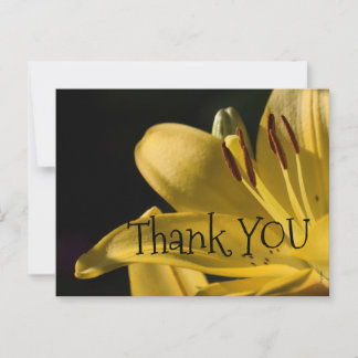 *'LiLi-Yellow' Design, Postcard