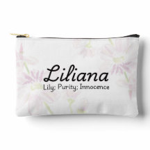 Liliana Small Accessory Pouch
