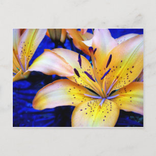 LilianArt Postcard
