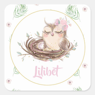 Lilibet Owl Baby Girl Shower Square Sticker