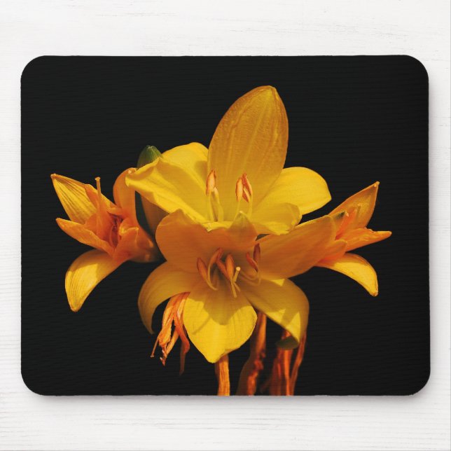Lilien Mouse Pad (Front)
