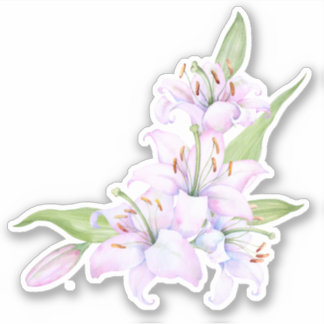 lilies