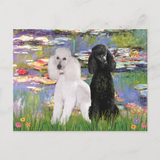 Lilies2-Standard Poodles (black & white) Postcard (Front)
