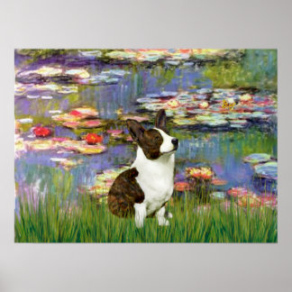 Lilies 2 - Cardigan Welsh Corgi 5 Poster