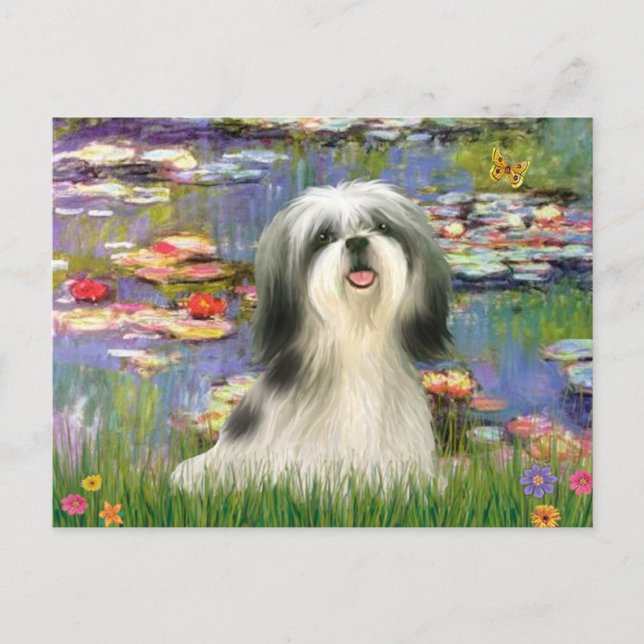 Lilies (#2) - Shih Tzu #3 Postcard (Front)