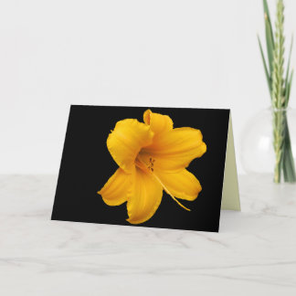 Lilies and Daffodils Greeting Card