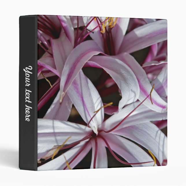 Lilies Binder (Front/Spine)