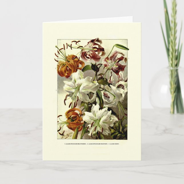 Lilies Card (Front)