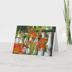 Lilies de tigre orange - Carte Vignoble Martha