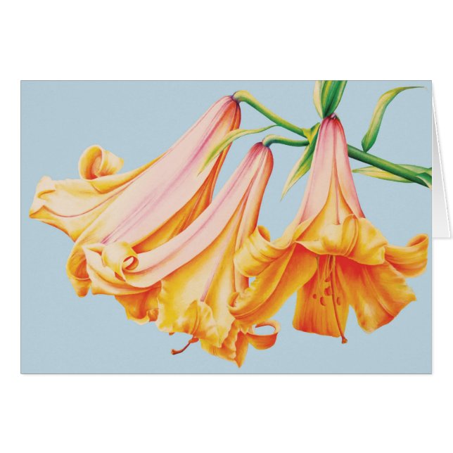 Lilies fine art Aquarelle crayon carte quotidienne (Devant horizontal)