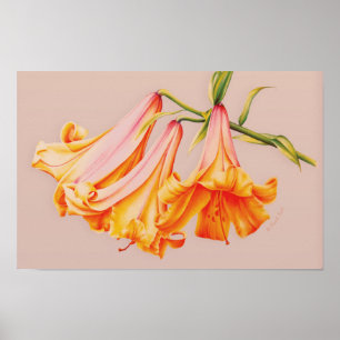 "Lilies" fine art botanical poster print