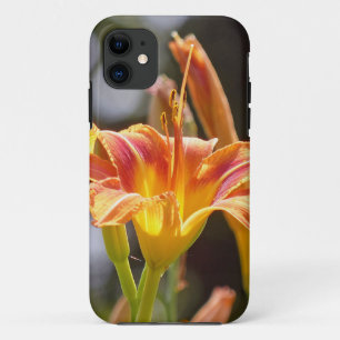 Lilies in the Sunshine iPhone 11 Case