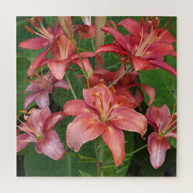Lilies Jigsaw Puzzle (Vertical)