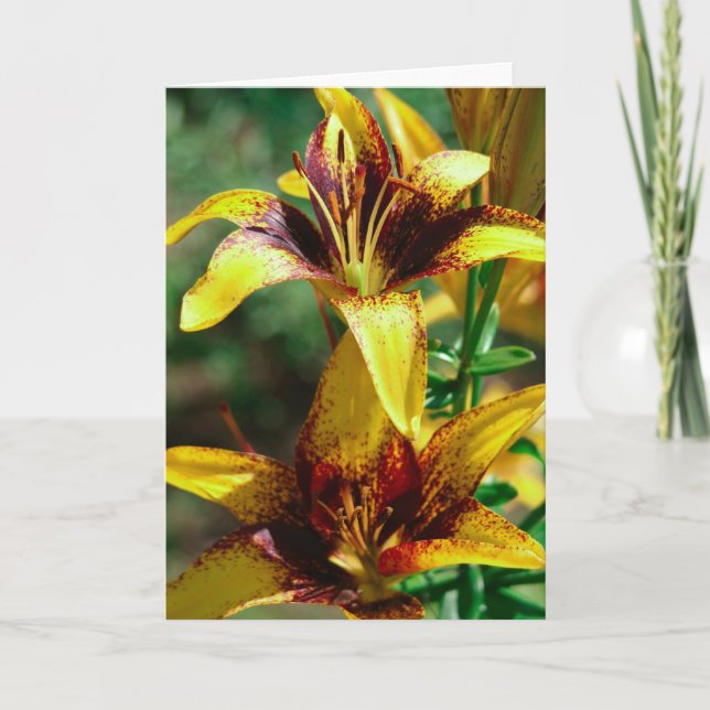 lilies of the fields card (Front)