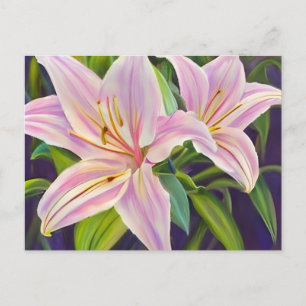 Lilies plants postcard