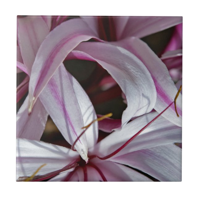 Lilies Tile (Front)