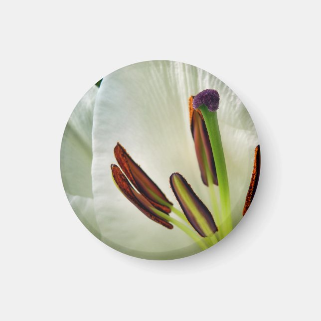 Lilium Oriental White Magnet (Front)