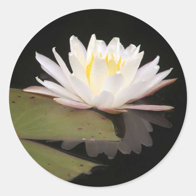 Lillies Classic Round Sticker (Front)