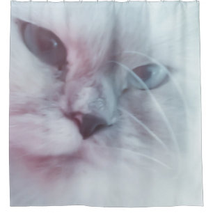 Lilly