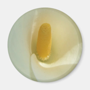 Lilly Centre Magnet