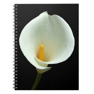 Lilly Notebook