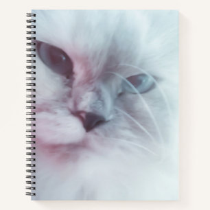 Lilly  notebook