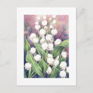 Lilly of the Valley Postcard