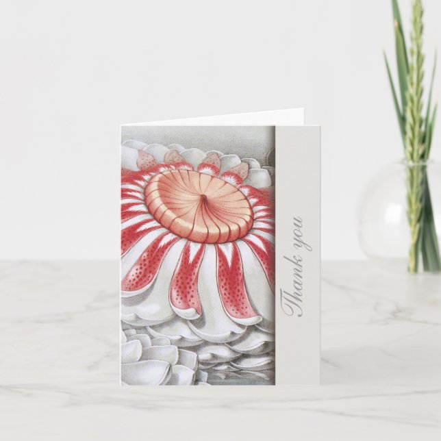 Lilly Pads Floral Merci Notes (Devant)