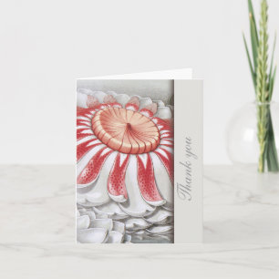 Lilly Pads Floral Thank You Notes