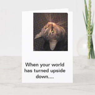 Lillysez that good friends stick by each other. card