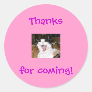 Lillytalking, Thanks for coming! Classic Round Sticker