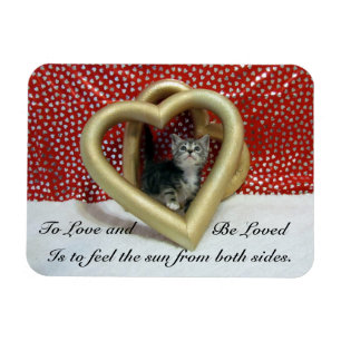 Lilo'The Cat's Loving Hearts Magnet 
