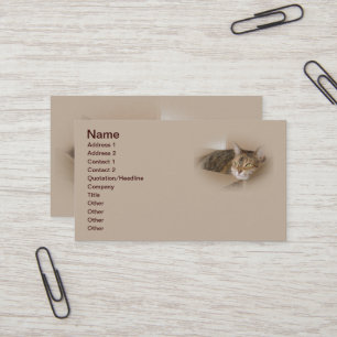 Lily #1 business card