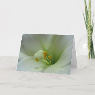 Lily 1 Card