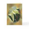 Lily 3482 card for any occasion-customize
